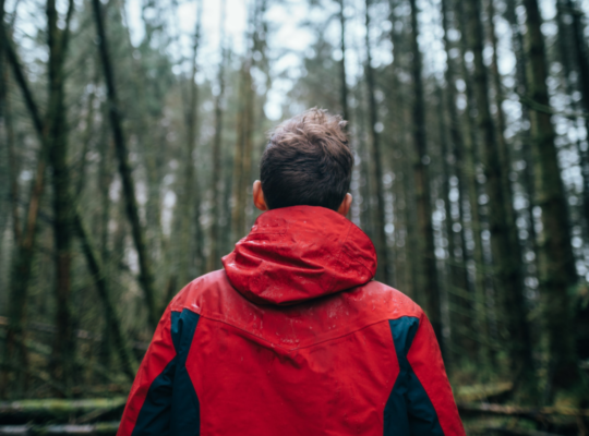 A person walking through the forest.