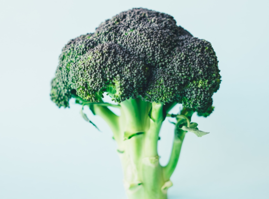 a piece of broccoli standing on its stem