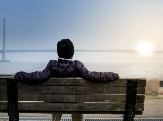 person sitting on a bench staring off into the sunset over the sea