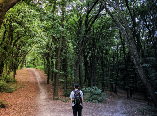 person is at a cross-roads in a forest with a bright path to their left and a dark path to their right.
